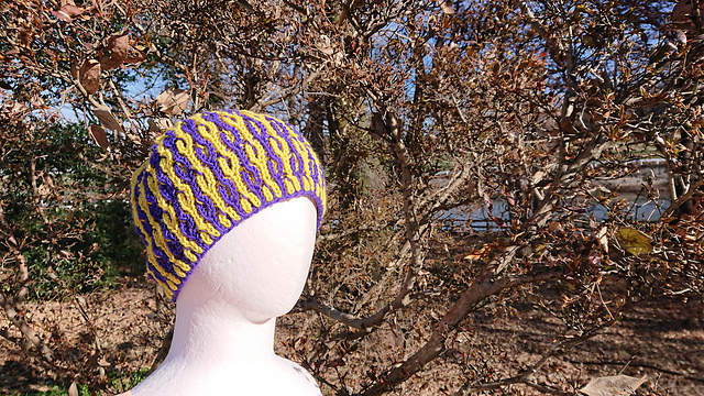 Fortunella (Brioche Hat)