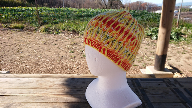 Orange Slice (Brioche Hat)