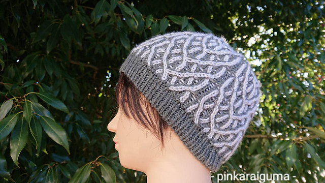 Capricorn Brioche Hat