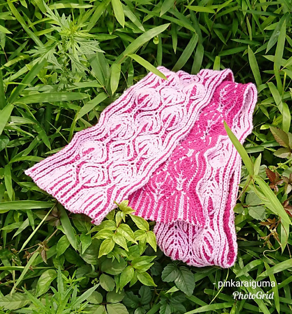 Magnolia 朴の木