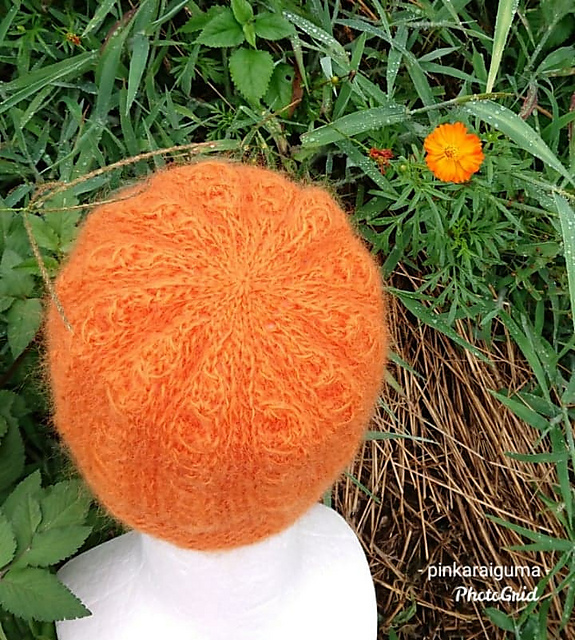Zinnia (Profusion Orange)