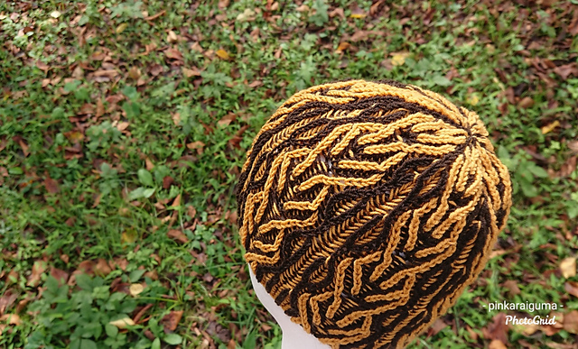 Brown Eyed Susan (Brioche Hat)