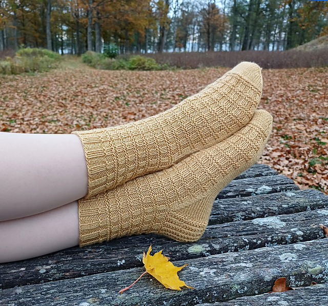 Autumn Honey Socks