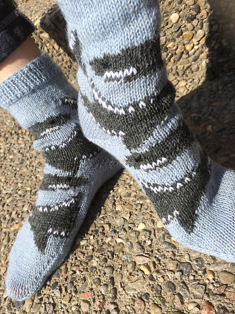 Swimming with Sharks socks
