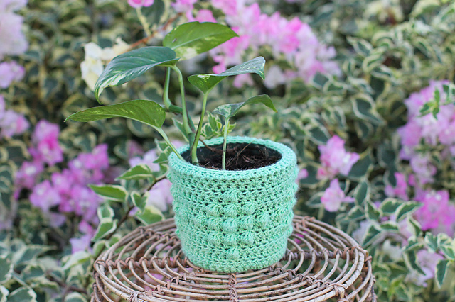 Diamond Plant Cozy