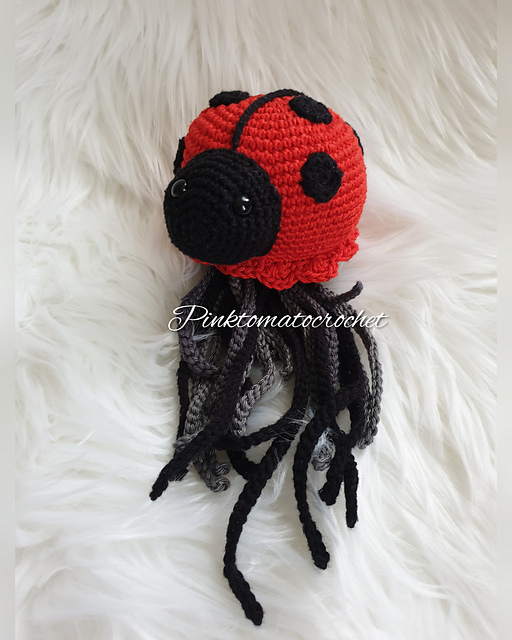 Ladybird Jelly Friend