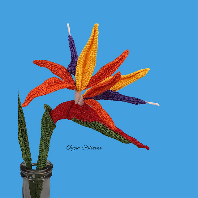 Ravelry: Bird of Paradise pattern by Connie Rockliff