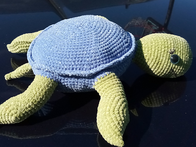 Kahuna the Sea Turtle