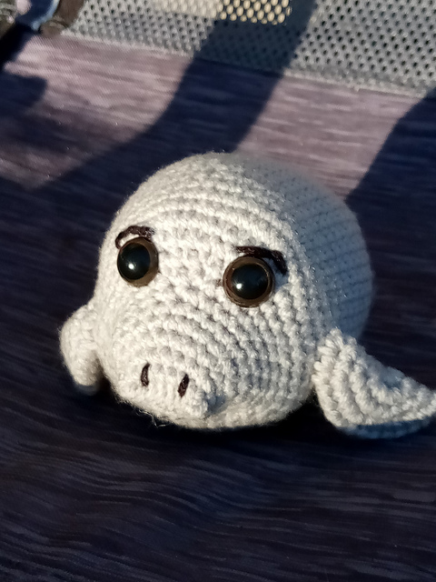 Chubby manatee