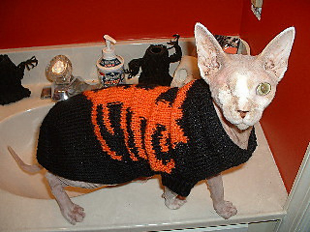 Hijinx by the Sphynx