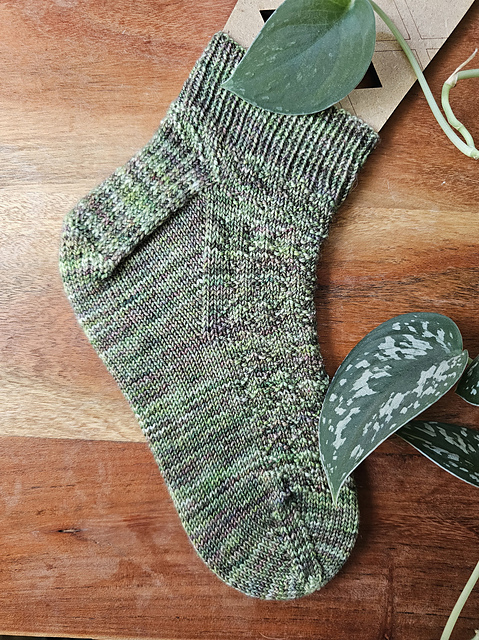 Plant Sock