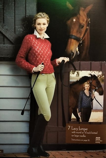Design 7 - Lacy Jumpers