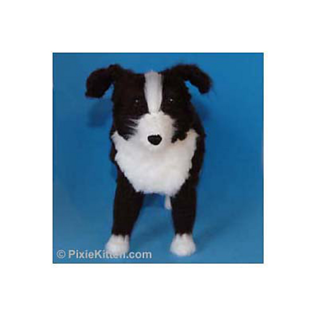Border Collie Large Version