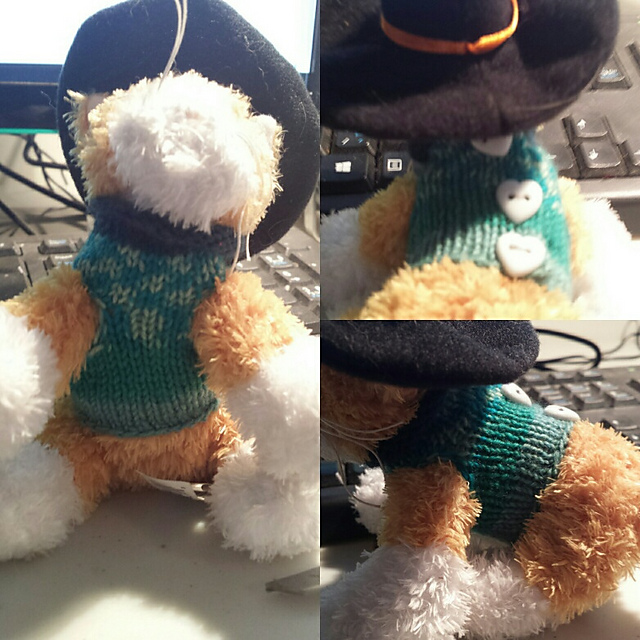 New Born Teacup Puppy Sweaters