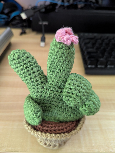 Middle Finger Cactus