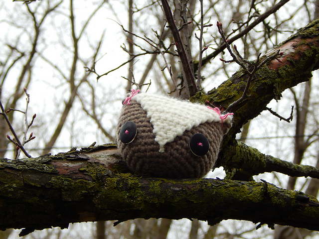 Chunky Owlet
