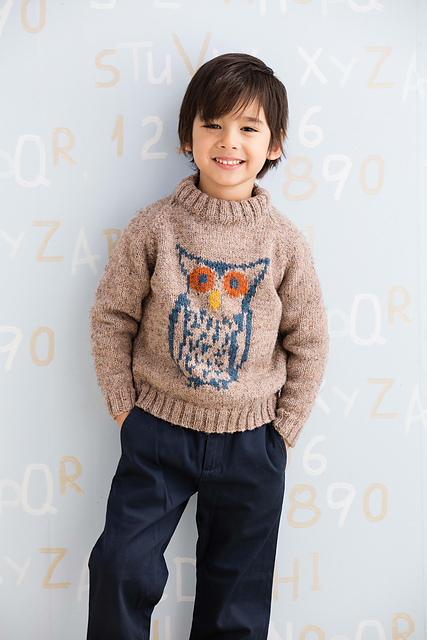 #21 Owl Pullover
