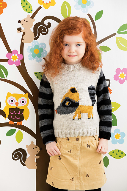 #22 Raccoon Sweater