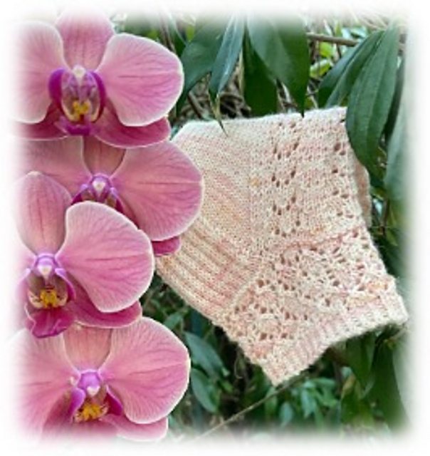 Hiver Rose
