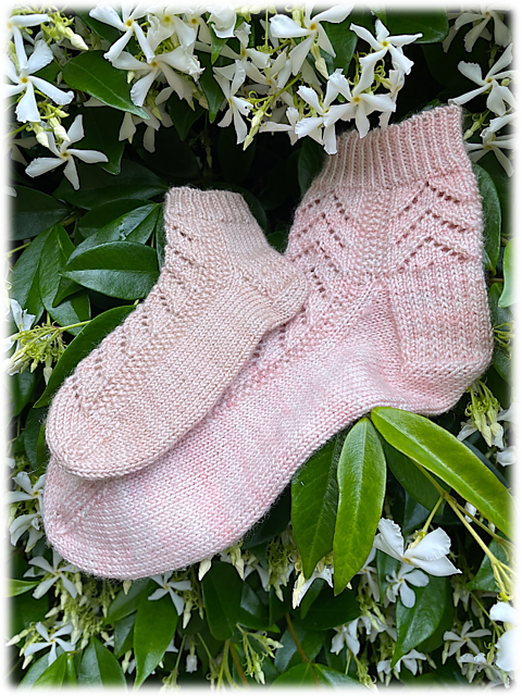 Lilybellule et Lilybelle