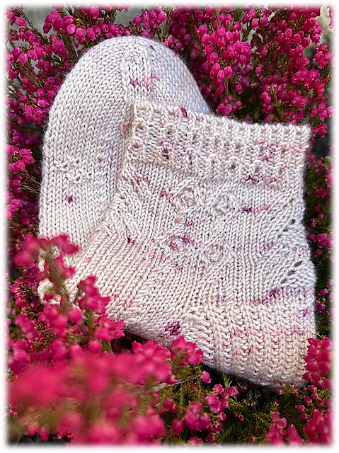 Passiflore