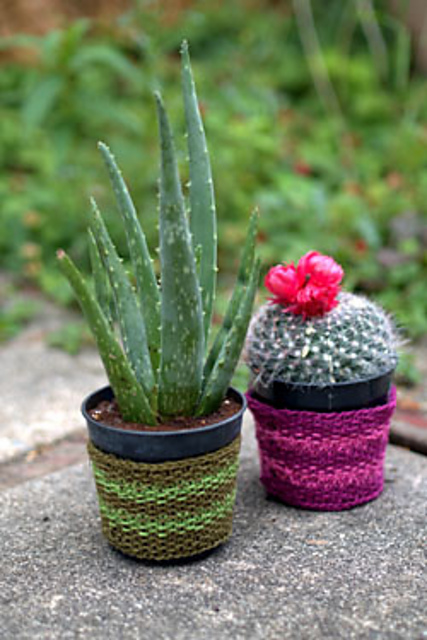 F581 Plant Cozy