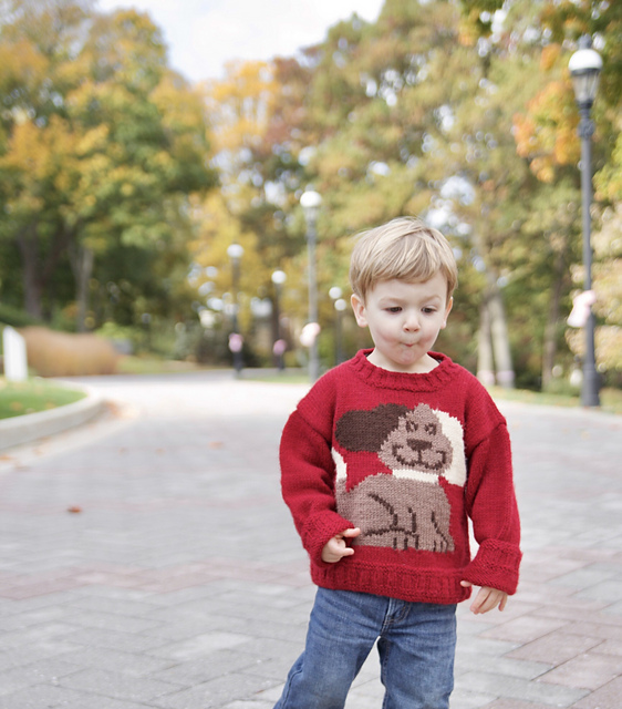 P577 Dog & Bone Sweater
