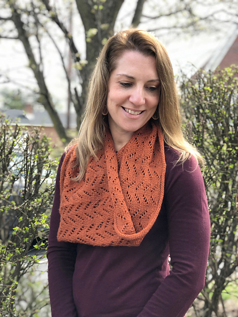 F930 Chevron Lace Cowl