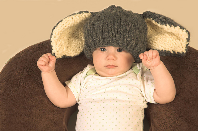 Cat and Bunny Hats
