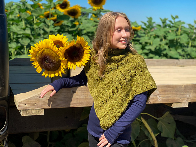 3137 Fern Grotto Shawl