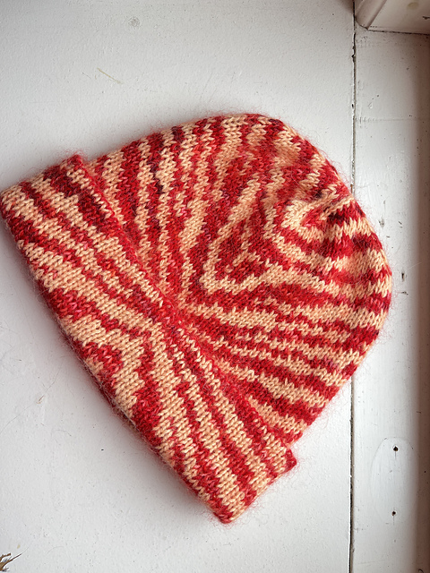 Zebra Beanie