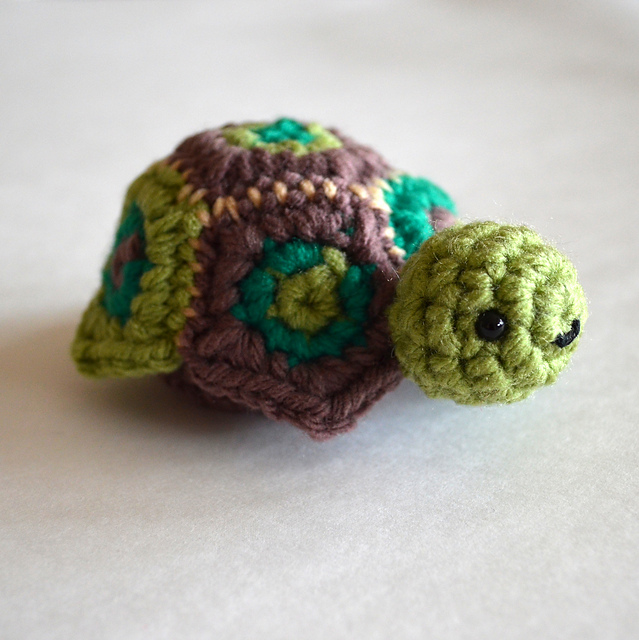 Secret Turtle Box