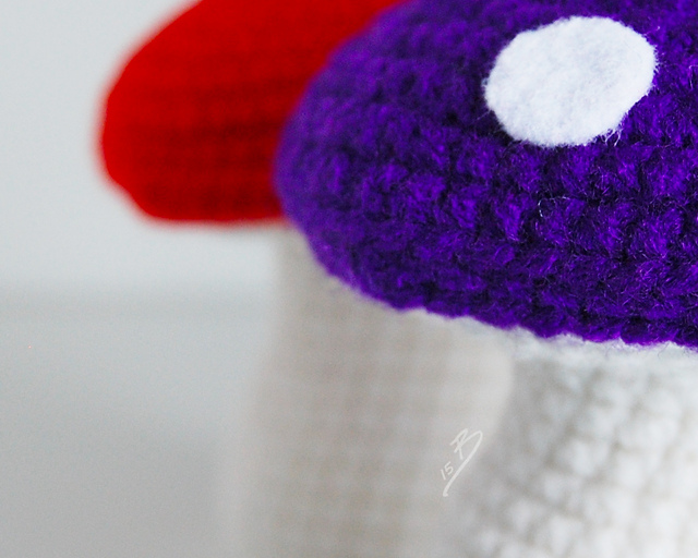 Hideaway Mushroom