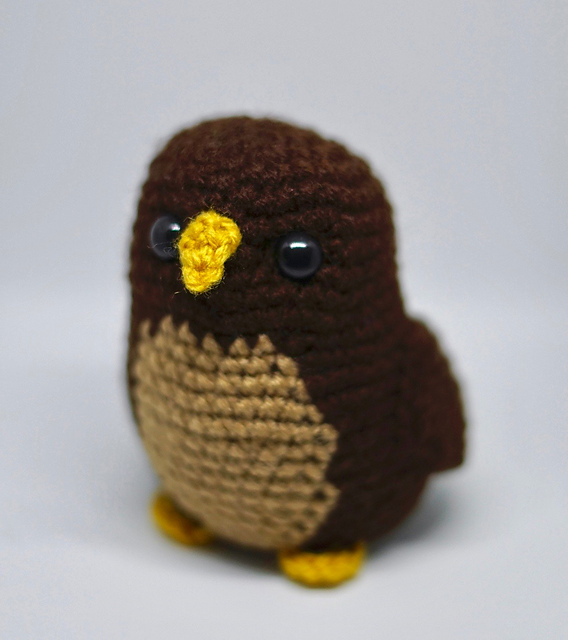 Little Owls CAL