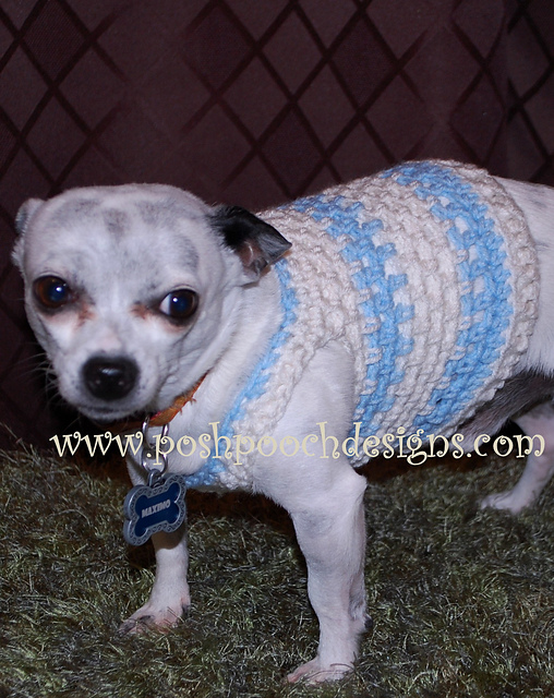 Maximo's Muscle Dog Shirt - Small Dogs
