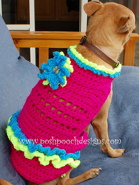 Dog Summer Fun Suit Sweater