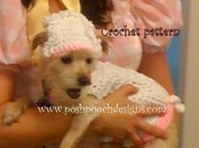 Lamb  Dog Sweater and Hat  Set