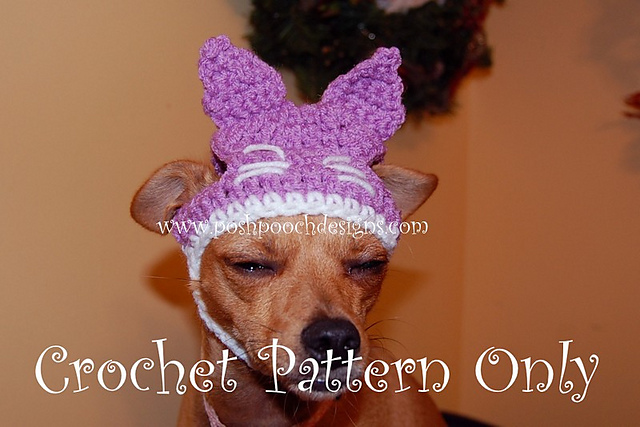 Kitty Cat Dog Sweater and Hat set - For Dogs