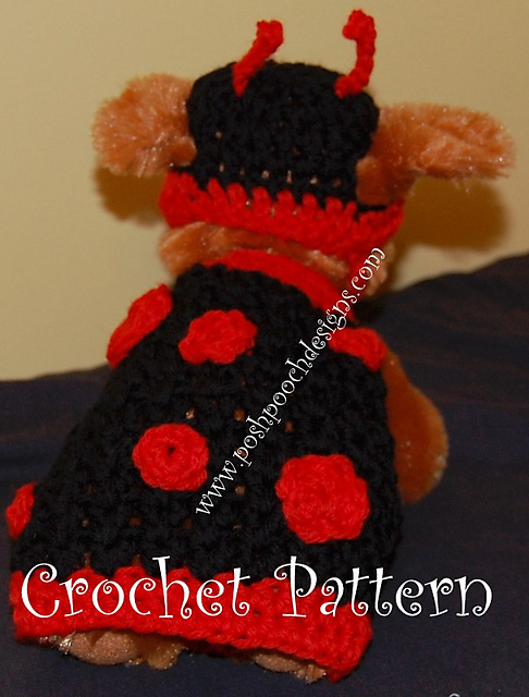 Lady bug - Dog Sweater and Hat Set