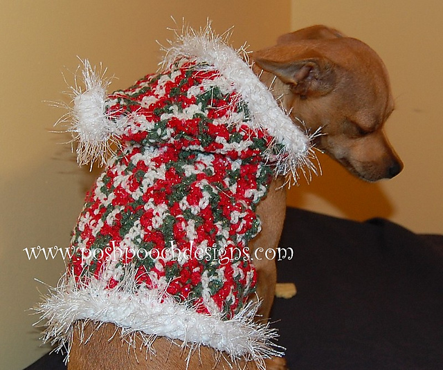 Christmas Dog Hoodie