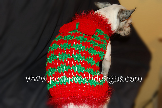 Christmas Wave Dog Sweater