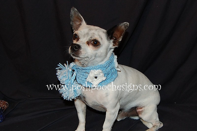 Snow flakes and Gems Dog collar