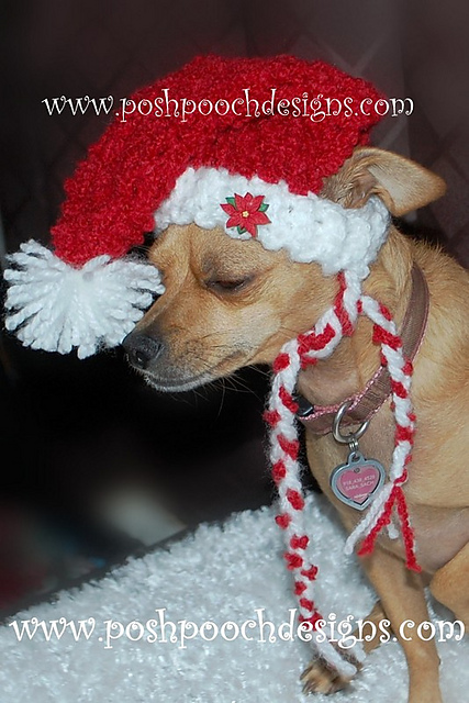Red Boucle' Dog Stocking Hat