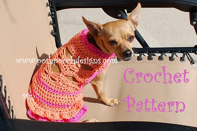 Tangerine Butterfly Dog Dress