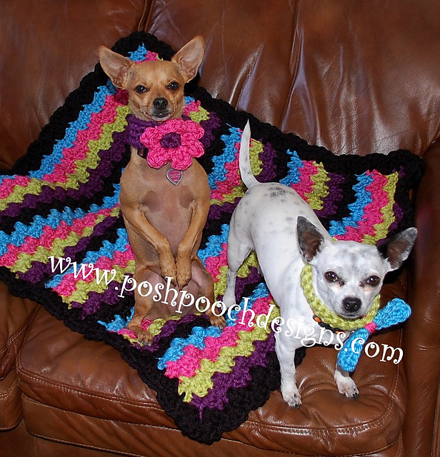 Chunky Dog Blanket - Main Image