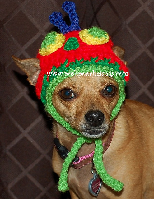 Caterpillar Dog Hat