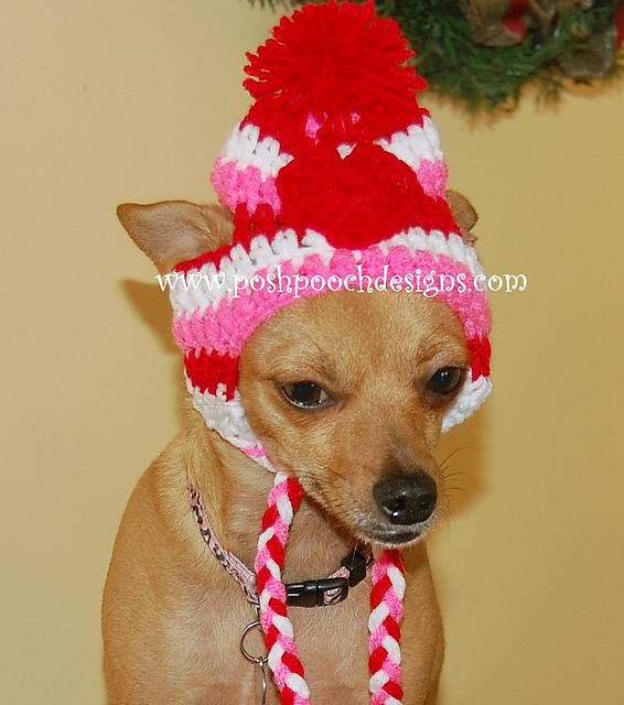 Striped Earflap Dog hat with heart Applique'