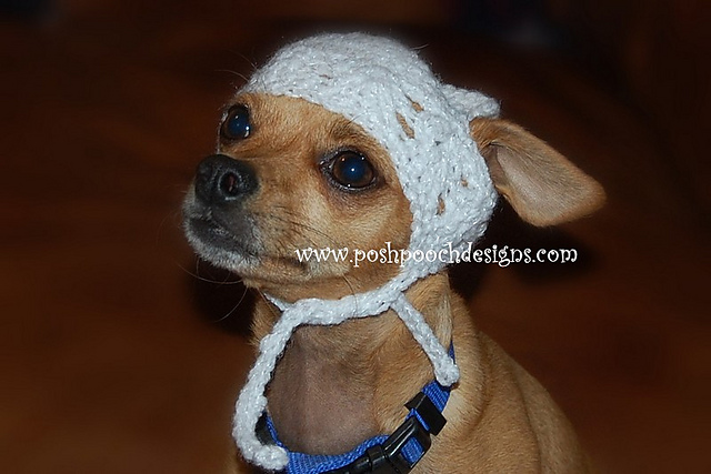 Kufi Dog Hat/Beanie