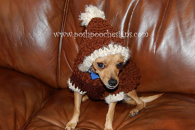 Dog Hoodie With Fur Trim