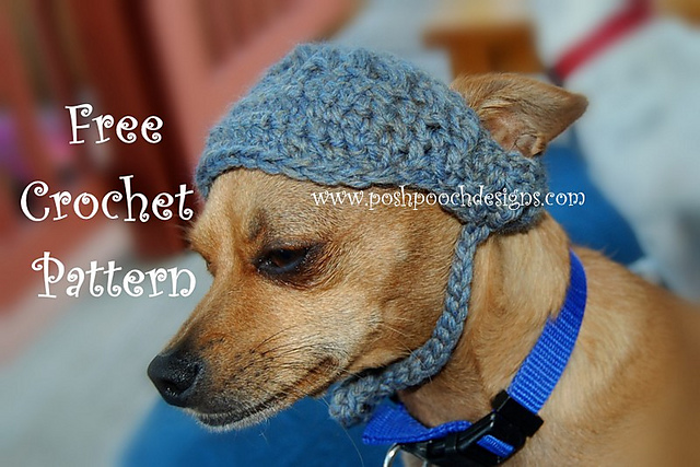 Visor For Dogs